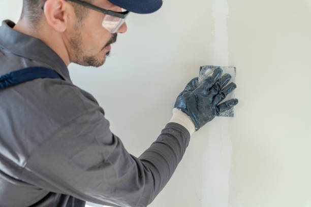 Best Post-Construction Mold Inspection  in University Gardens, NY